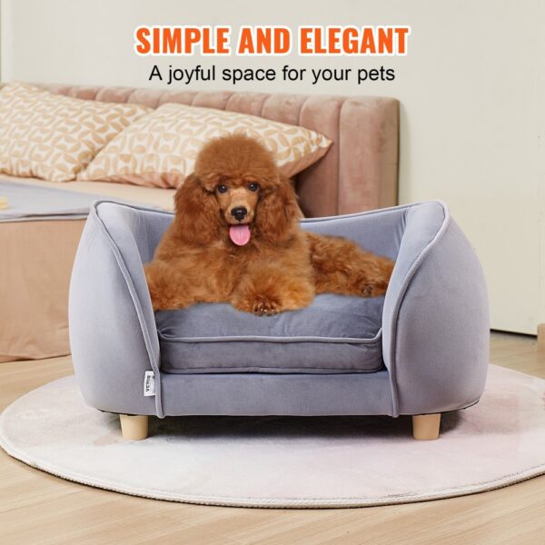 cute brown poodle sitting on a comfy gray VEVOR pet sofa in a stylish, cozy room with pastel decor.