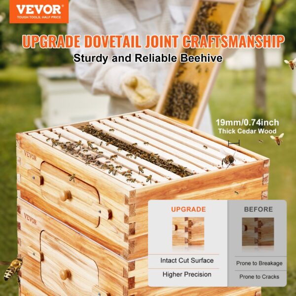 VEVOR Bee Hive 30 Frame Bee Hives Starter Kit, Beeswax Coated Cedar Wood, 2 Deep + 1 Medium Bee Boxes Langstroth Beehive Kit, Transparent Acrylic Windows with Foundations for Beginners Pro Beekeepers