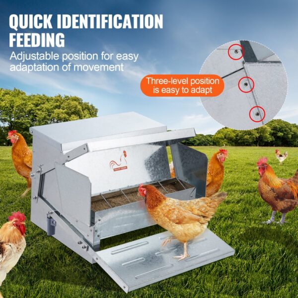 VEVOR automatic chicken feeder in a field with hens, showcasing adjustable feeding positions.