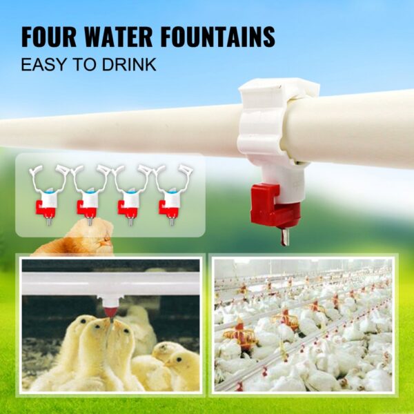 four water fountains with red nozzles for chickens, making feeding easy.