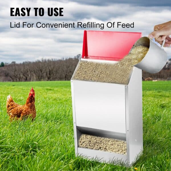 pouring feed into VEVOR galvanized poultry feeder, chicken on the grass, easy refilling.