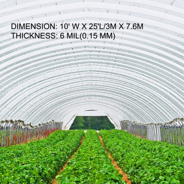 VEVOR greenhouse film over crops in an arched structure, dimensions and thickness displayed.