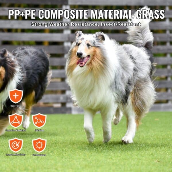 collie dogs playing on VEVOR artificial grass mat with key benefits: non-toxic, corrosion and uv resistant.