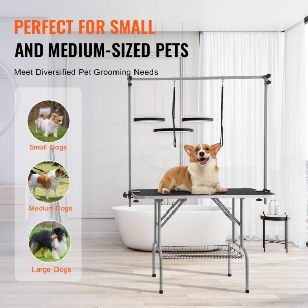 VEVOR pet grooming table with a happy corgi, perfect for small to medium-sized dogs in a modern bathroom.